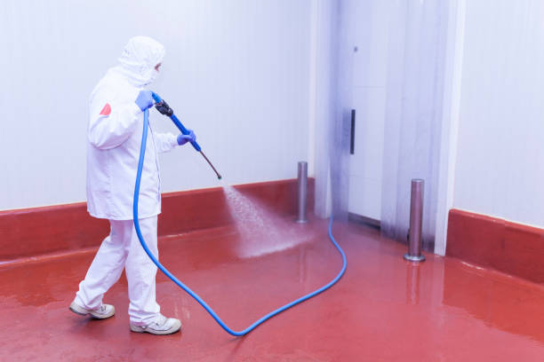 Boat and Dock Cleaning in Claryville, KY